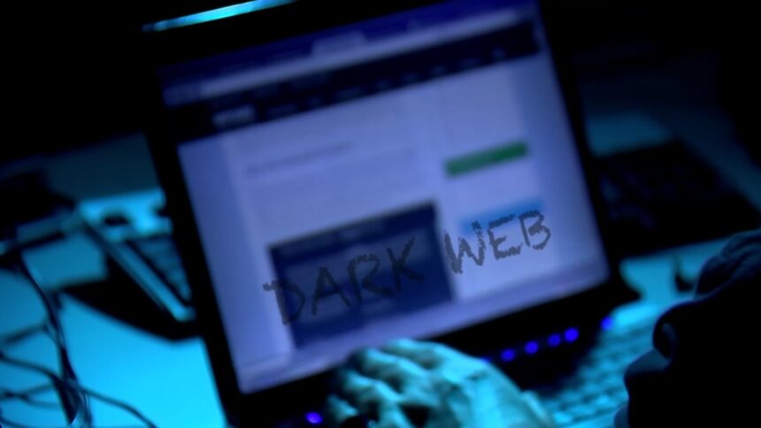 Deep Web and Dark Web Carding Markets