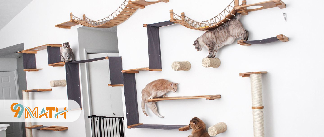 Install a Cat Tower or Climbing Shelves